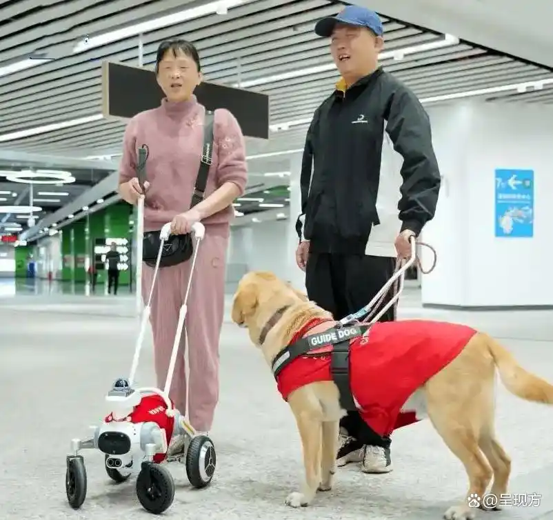 地铁站内与导盲犬协同出行